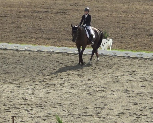 Reitturnier Dornbirn 2024