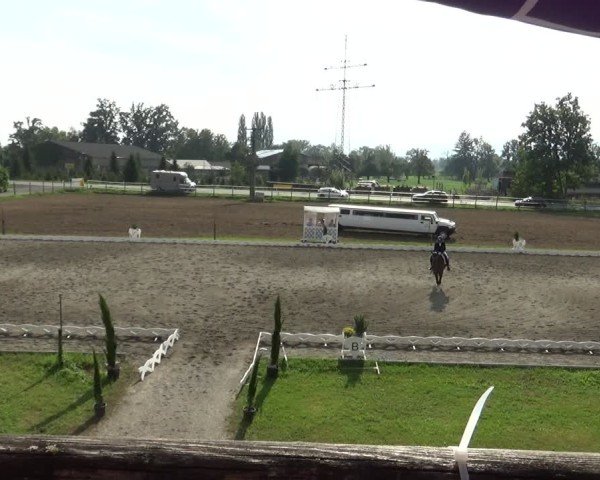 Reitturnier Dornbirn 2024