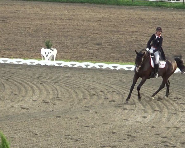 Reitturnier Dornbirn 2024