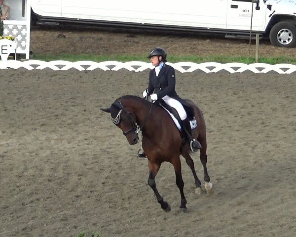 Reitturnier Dornbirn 2024