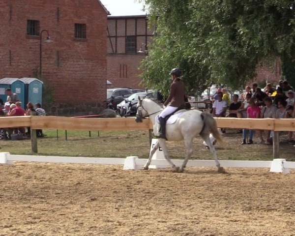 Reitturnier Pinnow 2024