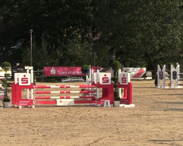 Reitturnier Vlotho-Valdorf 2024