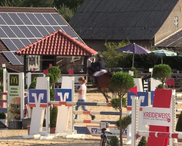 Reitturnier Vlotho-Valdorf 2024