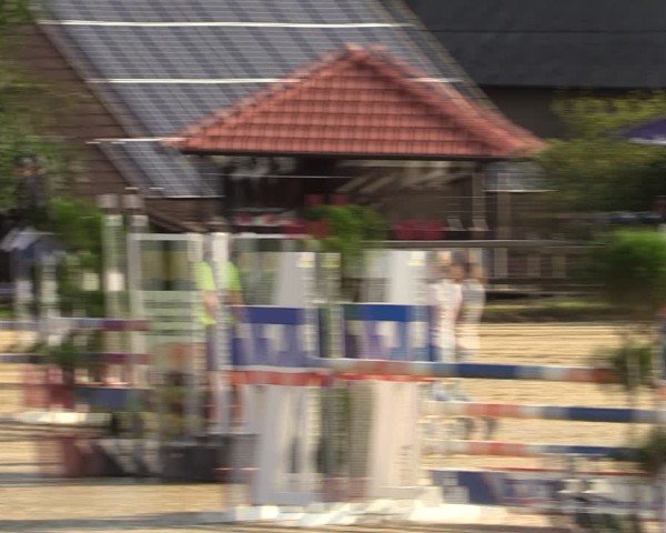 Reitturnier Vlotho-Valdorf 2024