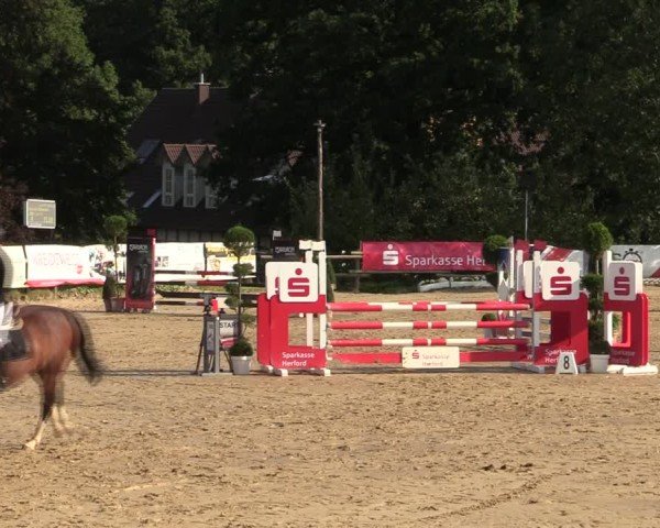 Reitturnier Vlotho-Valdorf 2024