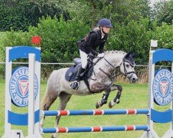 jumper Starpower Grendi (Welsh-Pony (Section B), 2018)
