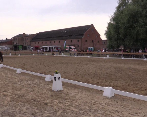 Reitturnier Pinnow 2024