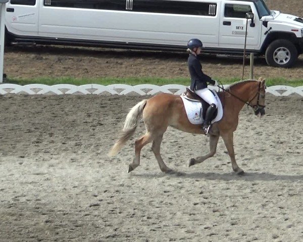 Reitturnier Dornbirn 2024