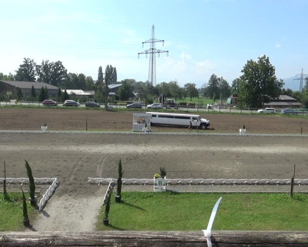 Reitturnier Dornbirn 2024