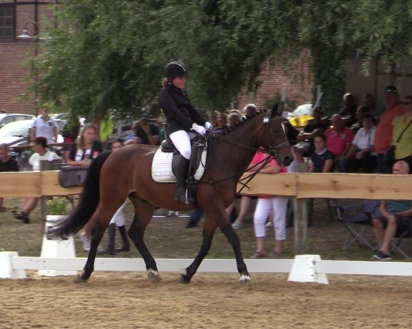 Reitturnier Pinnow 2024