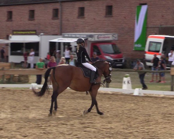 Reitturnier Pinnow 2024