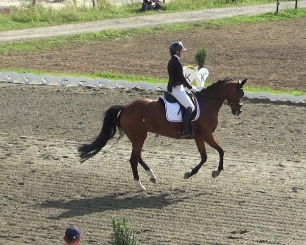 Reitturnier Dornbirn 2024