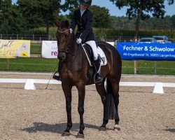 eventing horse Mara Ma B (German Sport Horse, 2020)