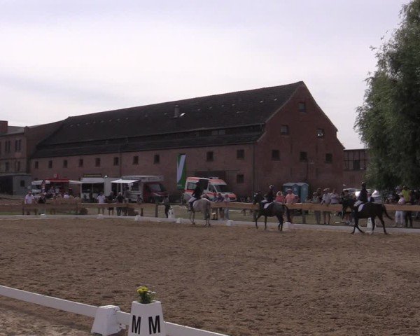 Reitturnier Pinnow 2024