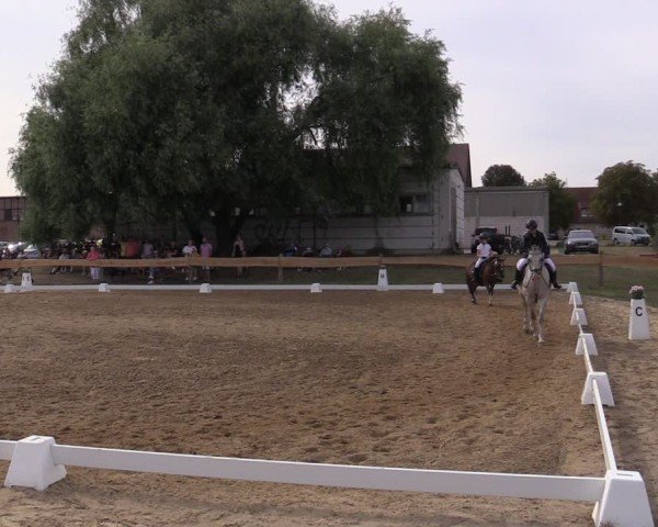 Reitturnier Pinnow 2024