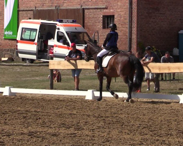 Reitturnier Pinnow 2024
