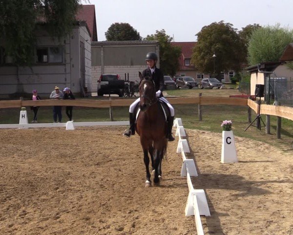 Reitturnier Pinnow 2024