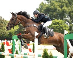 Springpferd Casparo 19 (Oldenburger, 2008, von Collado)