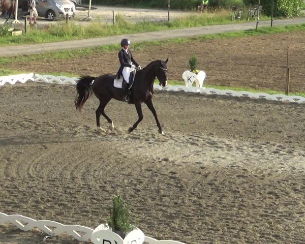 Reitturnier Dornbirn 2024