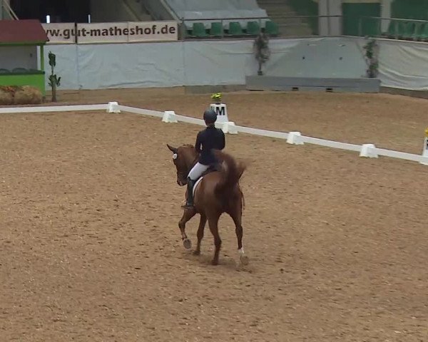 Reitturnier Kreuth/Opf. 2021