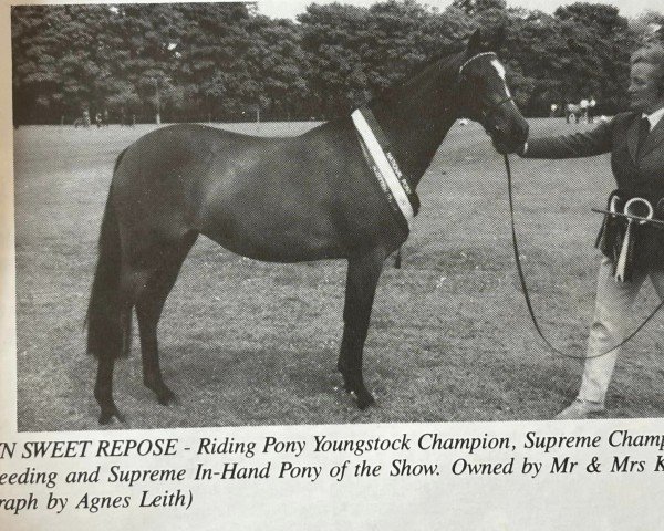 broodmare Rosslyn Sweet Repose (British Riding Pony, 1989, from Oakley Roaming Free)