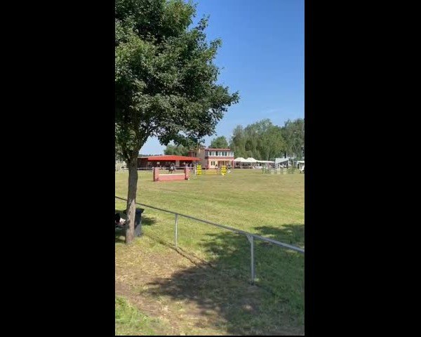 Video von Dollar Girl 61