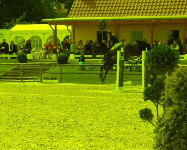 Remmighausen 2013