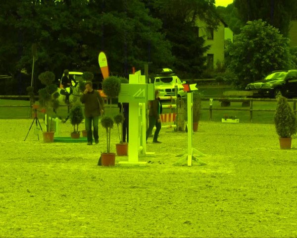 Remmighausen 2013