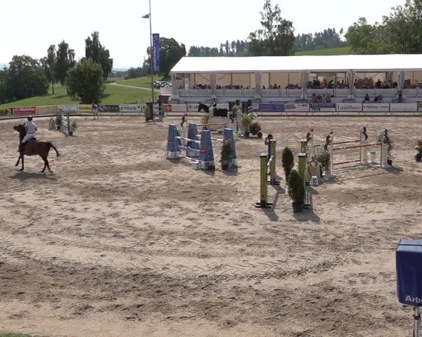 Reitturnier Humlikon 2024