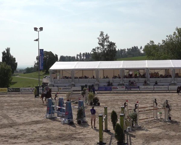 Reitturnier Humlikon 2024