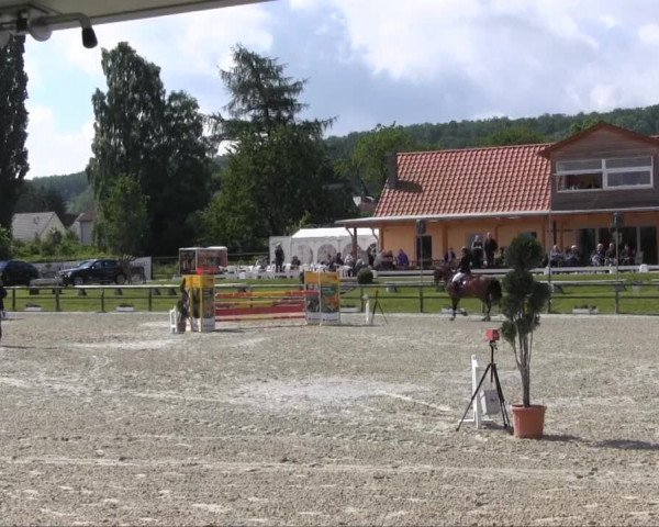 Remmighausen 2013