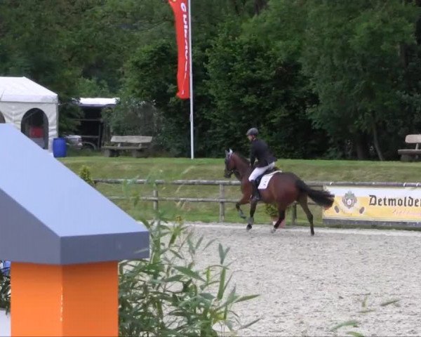 Remmighausen 2013