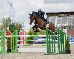 jumper Ella Bella Von Der Rothe Fa (Oldenburg show jumper, 2017, from Eldorado van de Zeshoek)