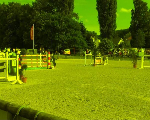 Remmighausen 2013