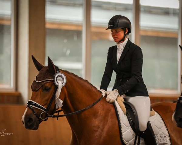 horse Sweet Secret 10 (Hanoverian, 2018, from Secret)