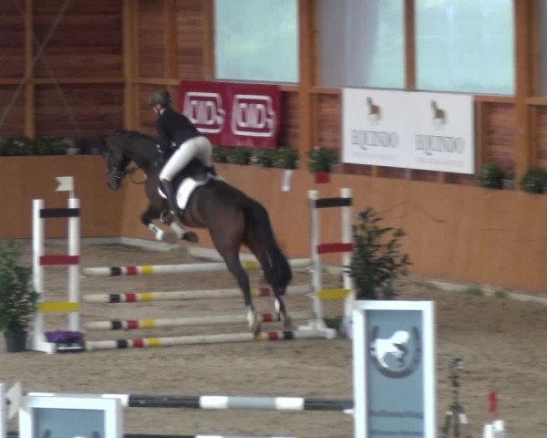Springturnier Xanten - Reitanlage Miss 2021
