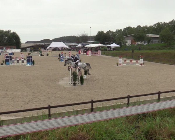 Reitturnier Leichlingen-Witzhelden 2024