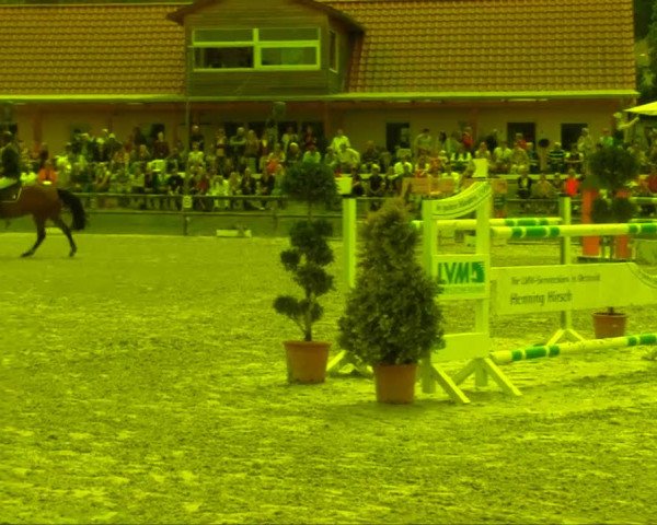 Remmighausen 2013