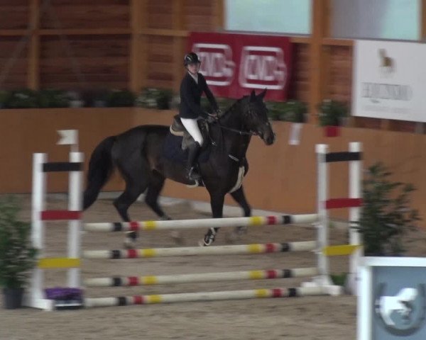 Springturnier Xanten - Reitanlage Miss 2021