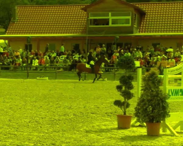 Remmighausen 2013