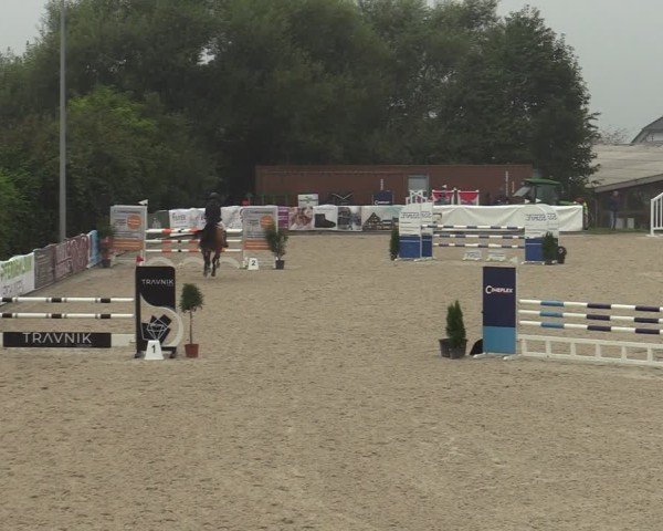 Reitturnier Leichlingen-Witzhelden 2024
