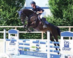 jumper Hickstead's Lady (Oldenburg show jumper, 2020, from HICKSTEAD WHITE)