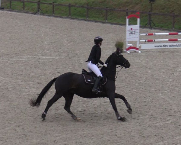 Reitturnier Leichlingen-Witzhelden 2024
