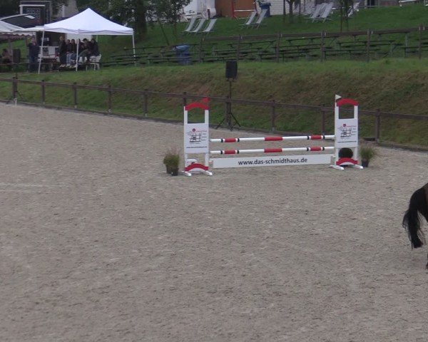 Reitturnier Leichlingen-Witzhelden 2024
