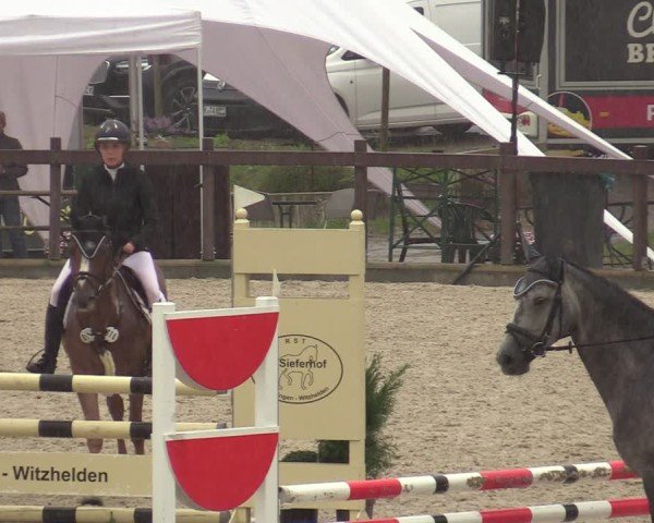 Reitturnier Leichlingen-Witzhelden 2024