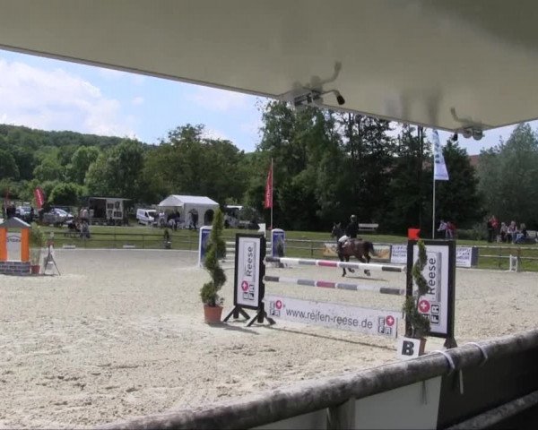 Remmighausen 2013