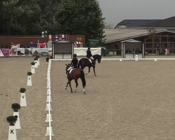 Reitturnier Leichlingen-Witzhelden 2024