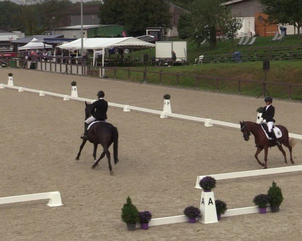 Reitturnier Leichlingen-Witzhelden 2024