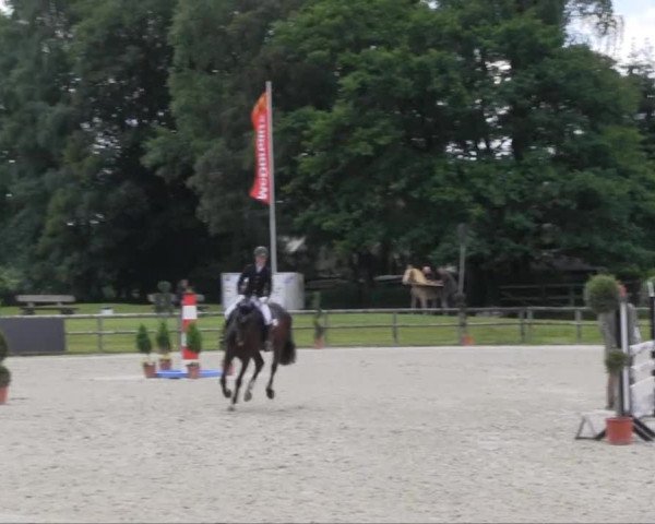 Remmighausen 2013