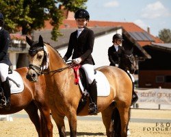 broodmare Blue Ivy (German Riding Pony, 2013, from Blue Angel 8)